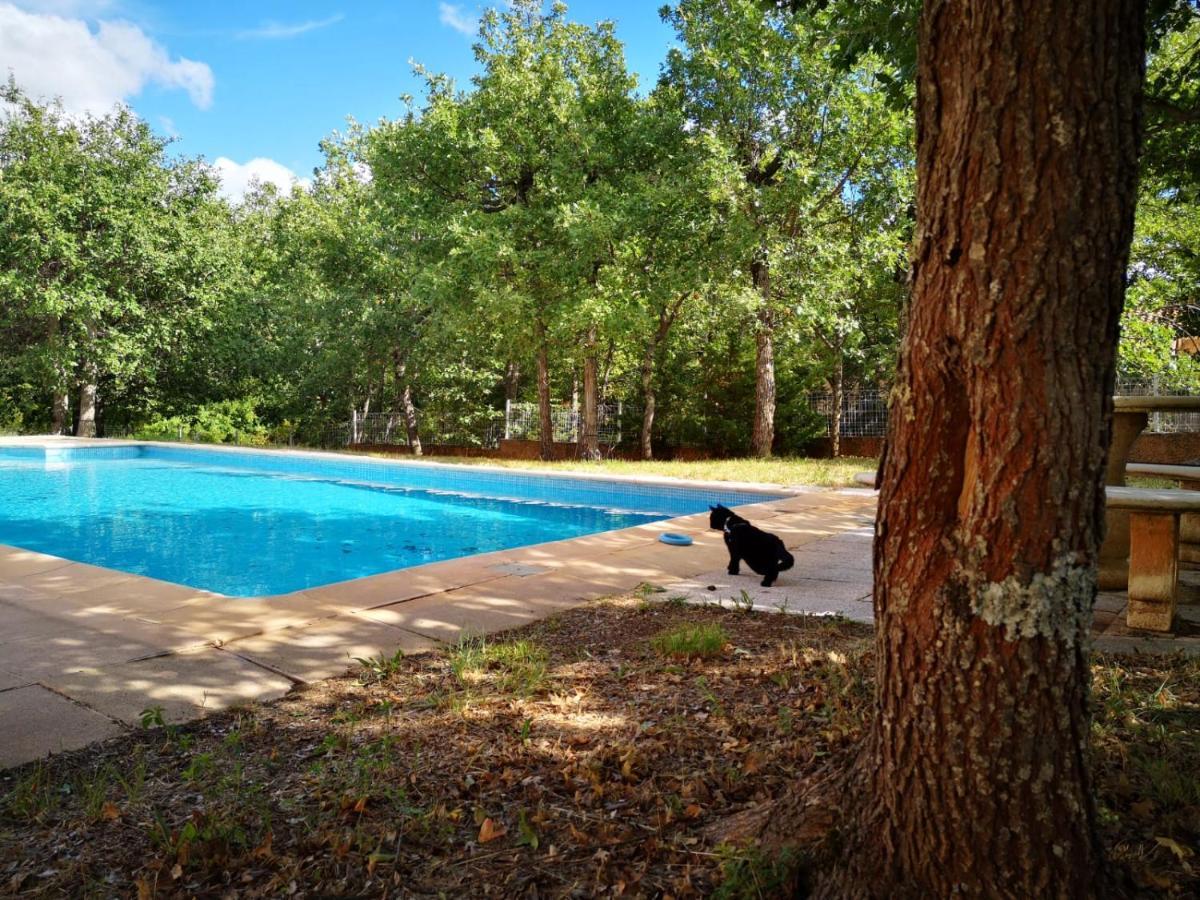 Libellule, Charmante Maison Au Coeur Du Parc Naturel Du Verdon Villa Régusse Esterno foto